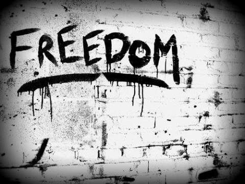 El #FREEDOM no solo es fiesta !!!