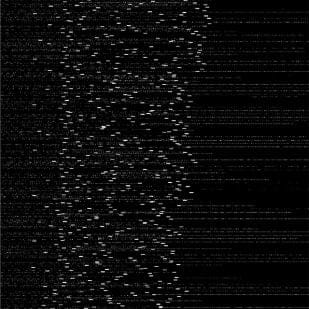 REVIEW: Application – System Fork [DUSTV041]