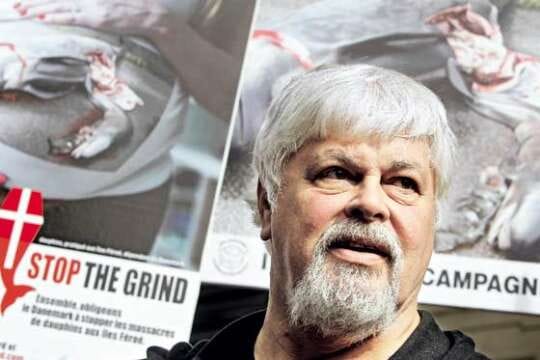 Fundador de Sea Shepherd fue detenido en Alemania