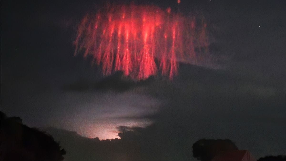 Medusa Roja ó Seres de Luz ?