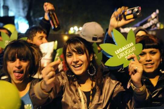 Uruguay: El cannabis legal será bueno y barato