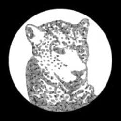 Review Yourself: Tensnake / Need Your Lovin (Tiger & Woods Remix)