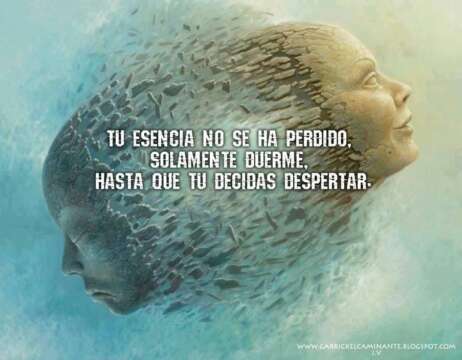 Ayer cometimos un error...