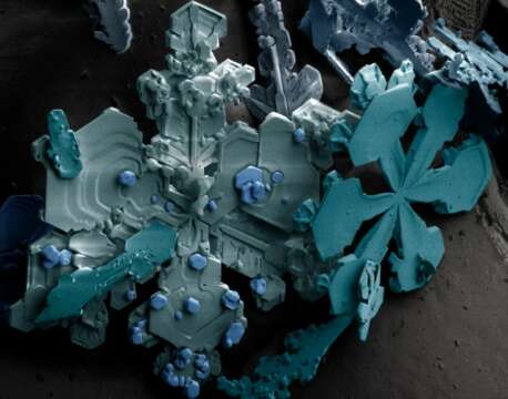 Increíble video de cristales de Hielo formándose en la cabeza de una Aguja