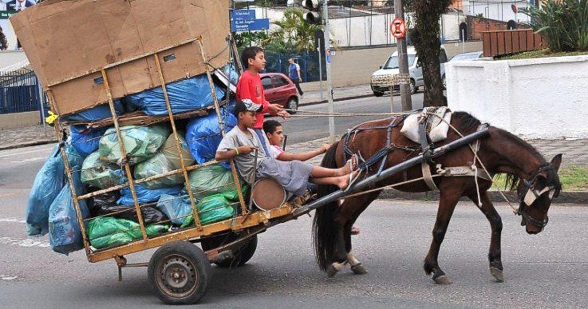 Antioquia no permitirá más vehículos de tracción animal