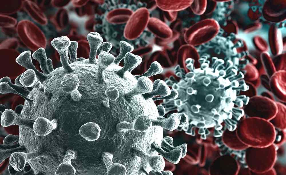 Así se escucha la estructura molecular de COVID-19