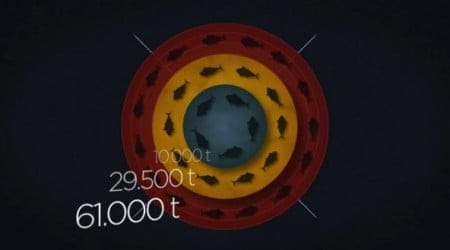 Video: End Overfishing, Los peces se acabarán en el 2061