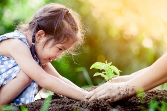 Recuerden que NO tener hijos ayuda a conservar el planeta.