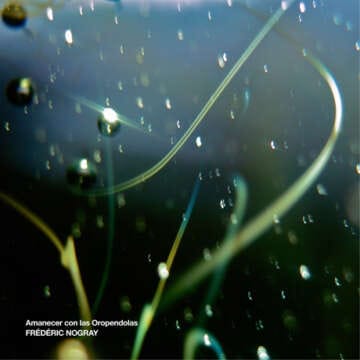 WAKE UP: FRÉDÉRIC NOGRAY – Amanecer con las Oropendolas [IHab075] (Free Download)