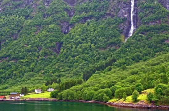 Noruega es el primer país del mundo en prohibir la deforestación