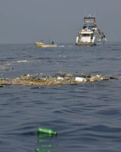 La basura tóxica del mar se sirve fría en su mesa