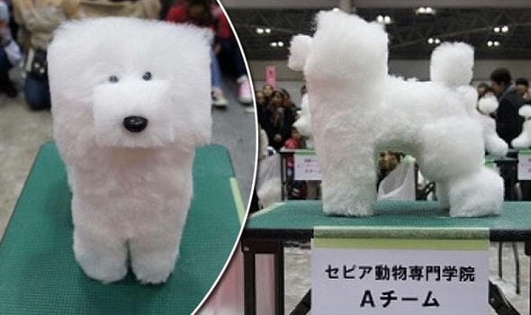 Solo en Japón: PERROS CUADRADOS