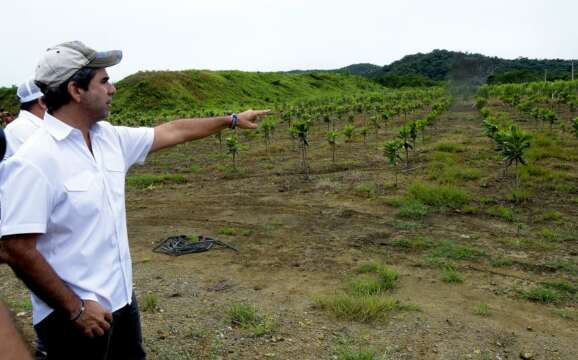 Comienza la siembra de más de 30.000 árboles en Barranquilla