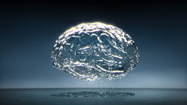 Enigmas del Cerebro: Es necesario o no ?