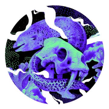 Earwiggle sigue avanzando con su serie Eel Behaviour