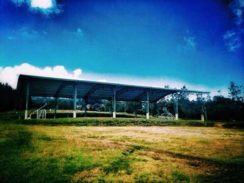 SHOCKWAVE éste Domingo a la venta en GANA, Ticket Express y DomiFree 3004885656