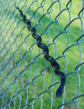 Fin de año terminandose de pintar muy bien