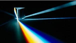 ¿Tenía razón Einstein?: dudan que los neutrinos viajen más rápido que la luz