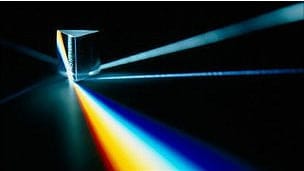 ¿Tenía razón Einstein?: dudan que los neutrinos viajen más rápido que la luz