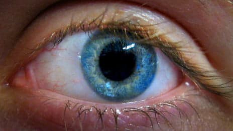 Los hombres ven distinto que las mujeres