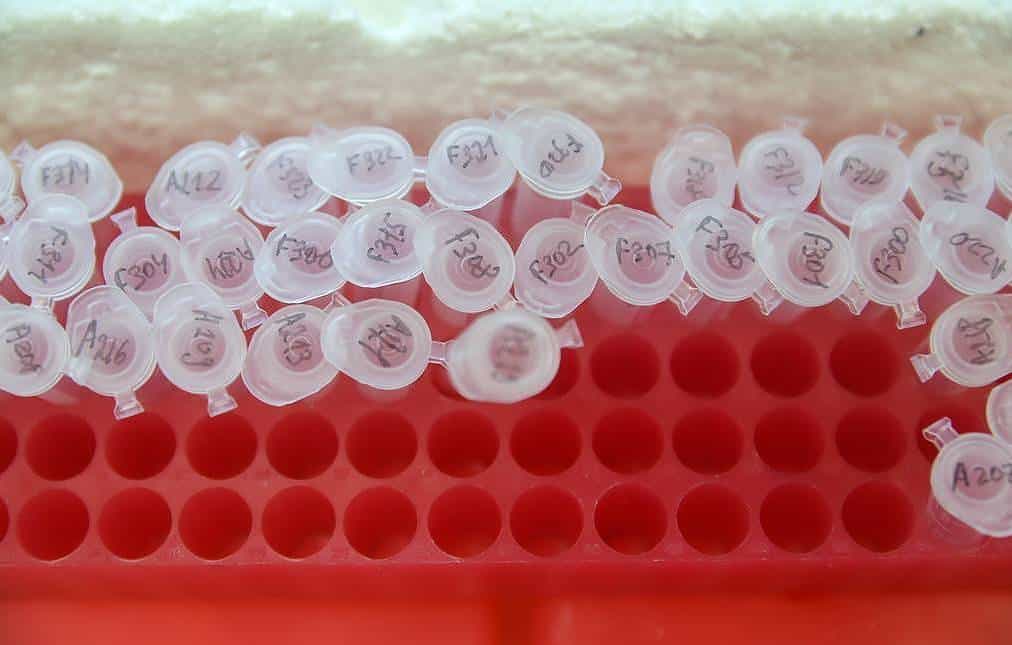 Vector: La Vacuna Rusa anuncia que comienza producción en masa en Noviembre