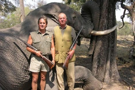 Que tristeza: Matar un elefante en Botsuana, a partir de 30.000 euros