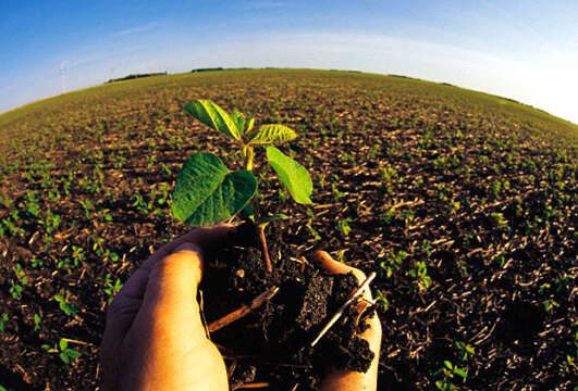 CINCO PASOS PARA ALIMENTAR AL MUNDO