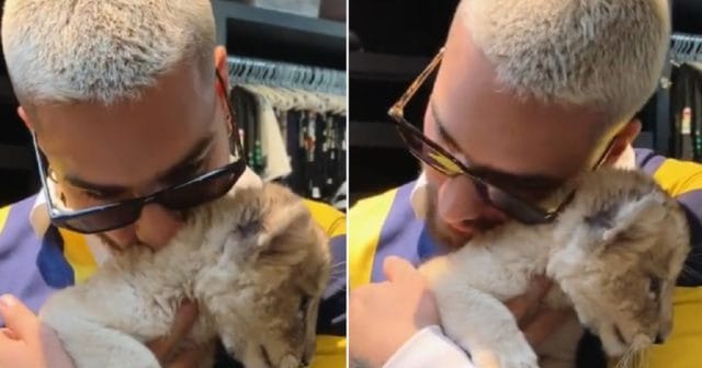 Las selfies con animales salvajes son una tonta moda y afecta la naturaleza