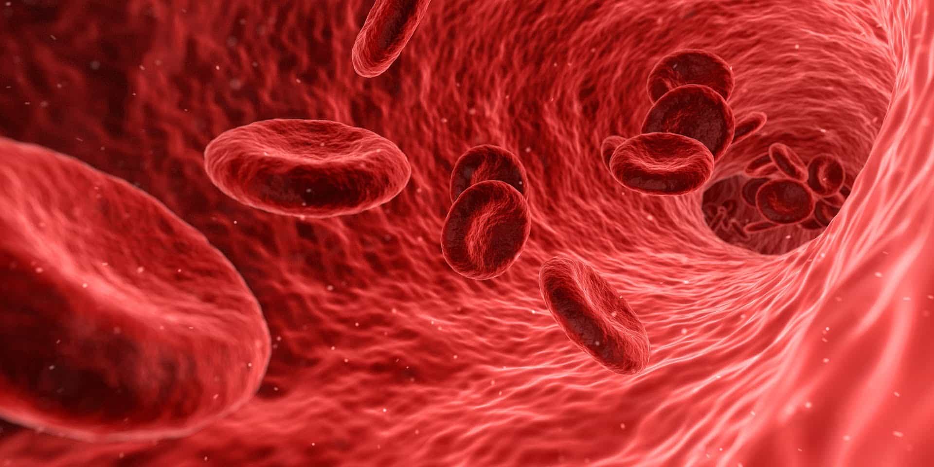 Encuentran microplásticos en la sangre humana por primera vez