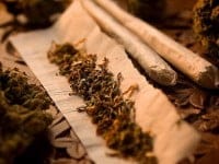 Estudio señala que la marihuana puede evitar la metástasis en personas con cáncer