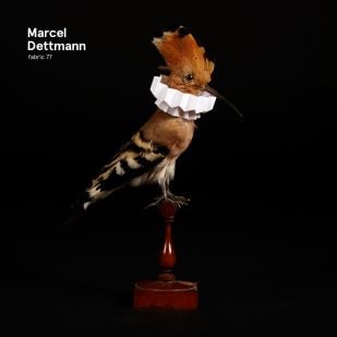 Marcel Dettmann prepara el Fabric 77