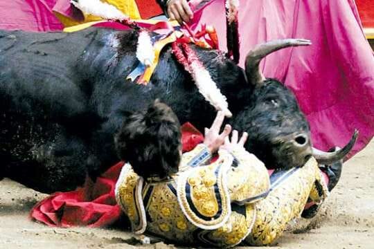 "Los animales tienen derecho a una muerte digna y sin sufrimiento"