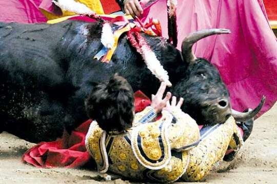 "Los animales tienen derecho a una muerte digna y sin sufrimiento"