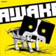 Livesets Awakenings Festival 2009