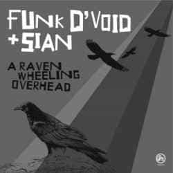 Funk D’void & Sian – A Raven Wheeling Overhead