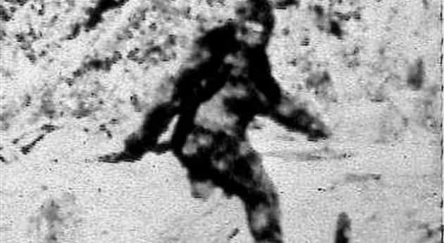 ¿Resuelven el misterio del Yeti?