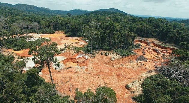El pulmón del mundo, herido de muerte