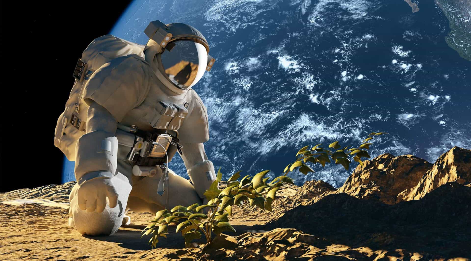 Futuros Artificiales: Las plantas crecerán en la Luna