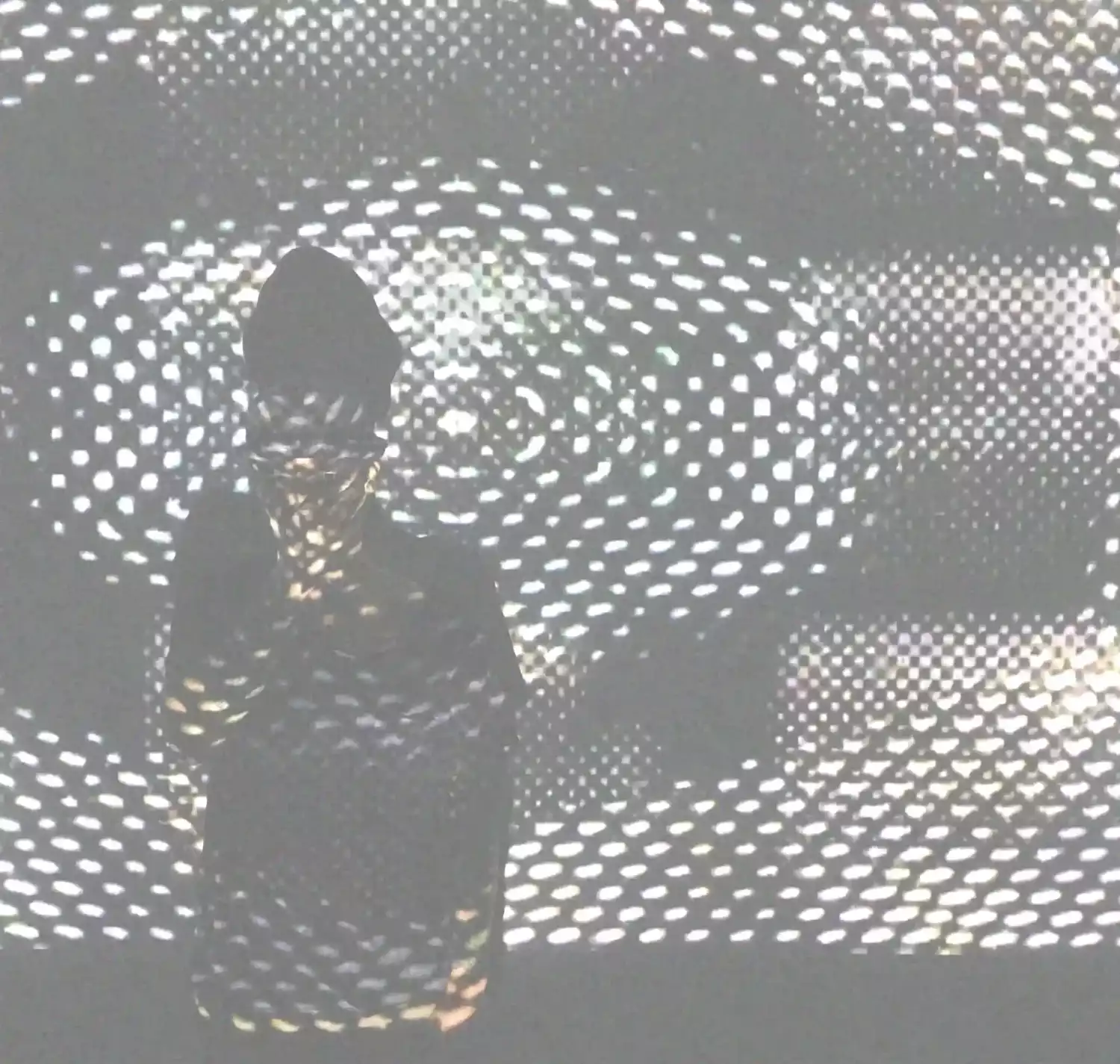 FERAL LIVE: Entrevista Exclusiva éste Sábado en Xero by Oniryc