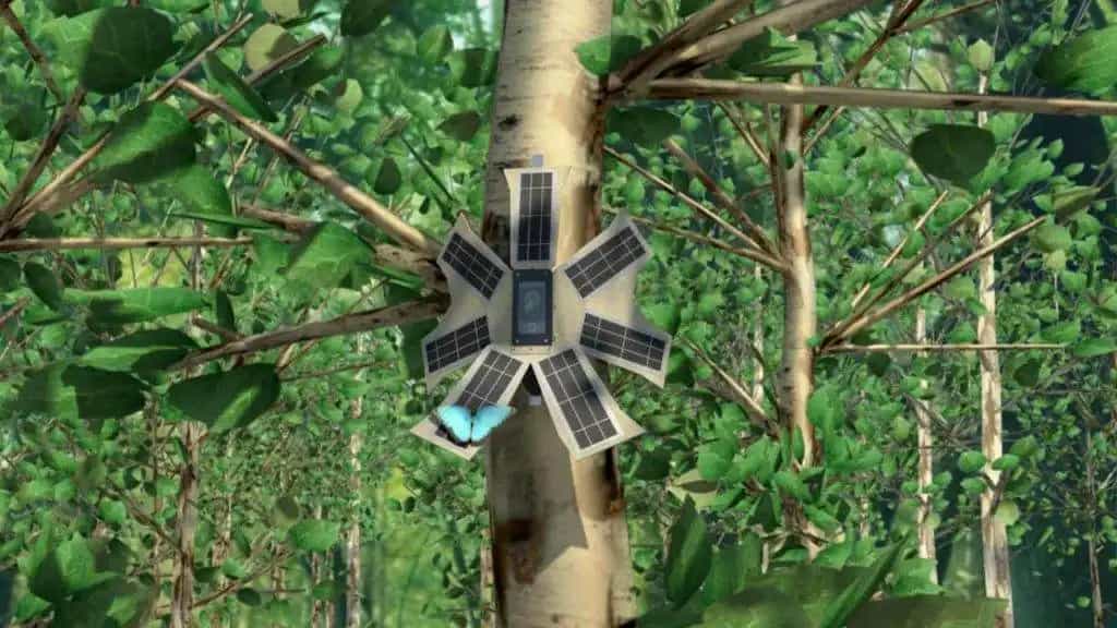 En Colombia hay arboles que pueden llamar a la policía.