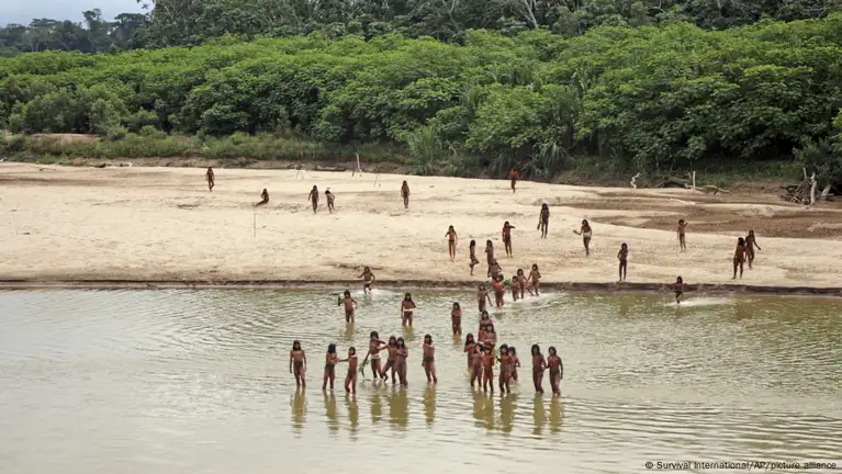 La tala amenaza la supervivencia de los Mashco Piro en la Amazonía peruana.