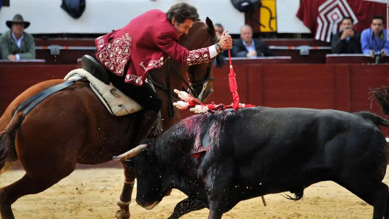 En Colombia la Corte Constitucional prohíbe las corridas de toros y peleas de gallos.