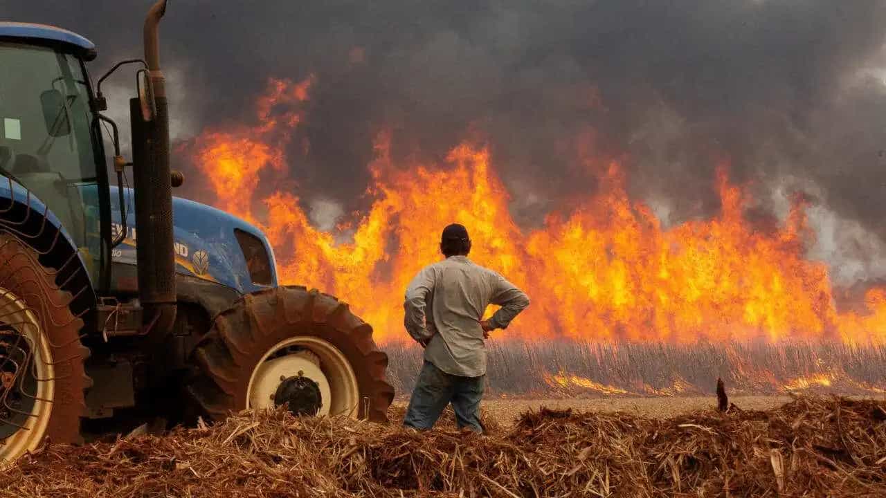 Identifican “nuevas estaciones” creadas por la actividad humana.