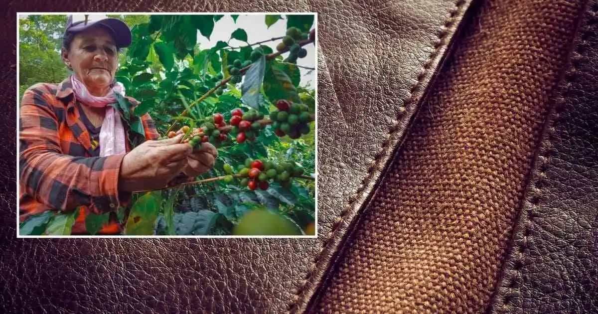 el primer cuero vegano de café es Colombiano y se originó en Antioquia.