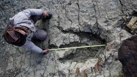 Impactante hallazgo en Bolivia: la colección más grande de huellas de dinosaurios.