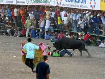 Fallo del Consejo de Estado es sobre corralejas, no sobre corridas de toros: magistrado