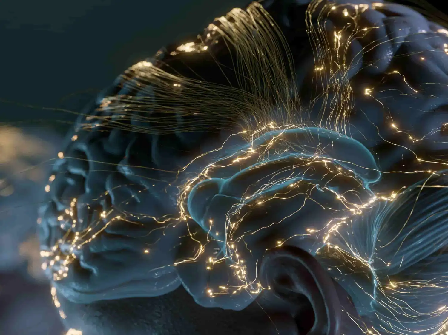 Neurociencia de la conducta: Las razones evolutivas por las que el cerebro necesita las emociones para el pensamiento racional