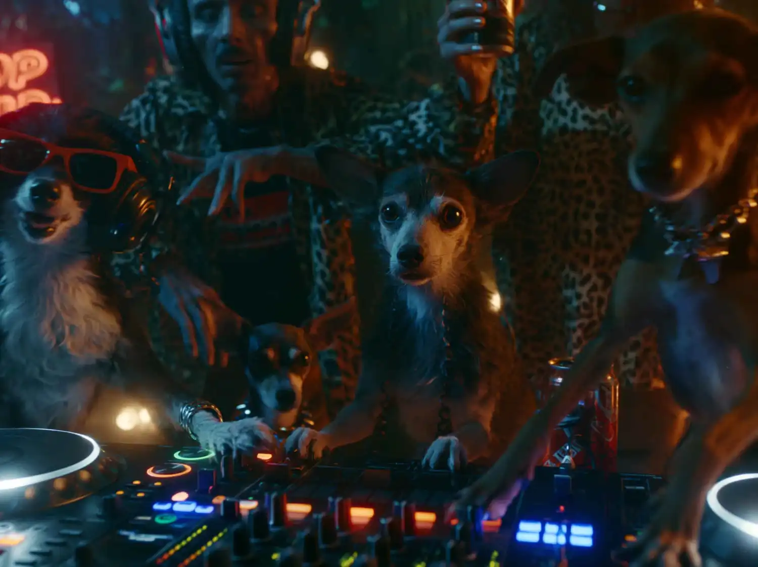 Científicos descubren que la música electrónica reduce el estrés en perros de refugios