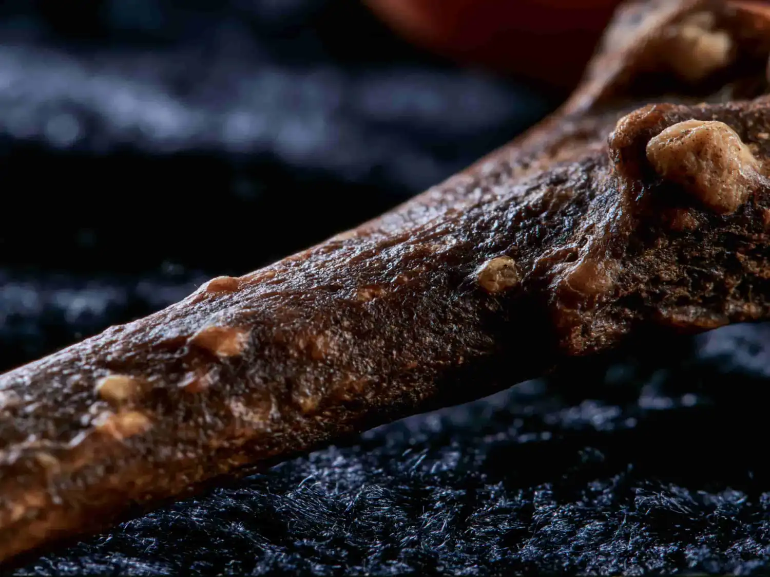 ADN de guerreros de la Edad de Bronce revela que los europeos prehistóricos no podían consumir leche fresca