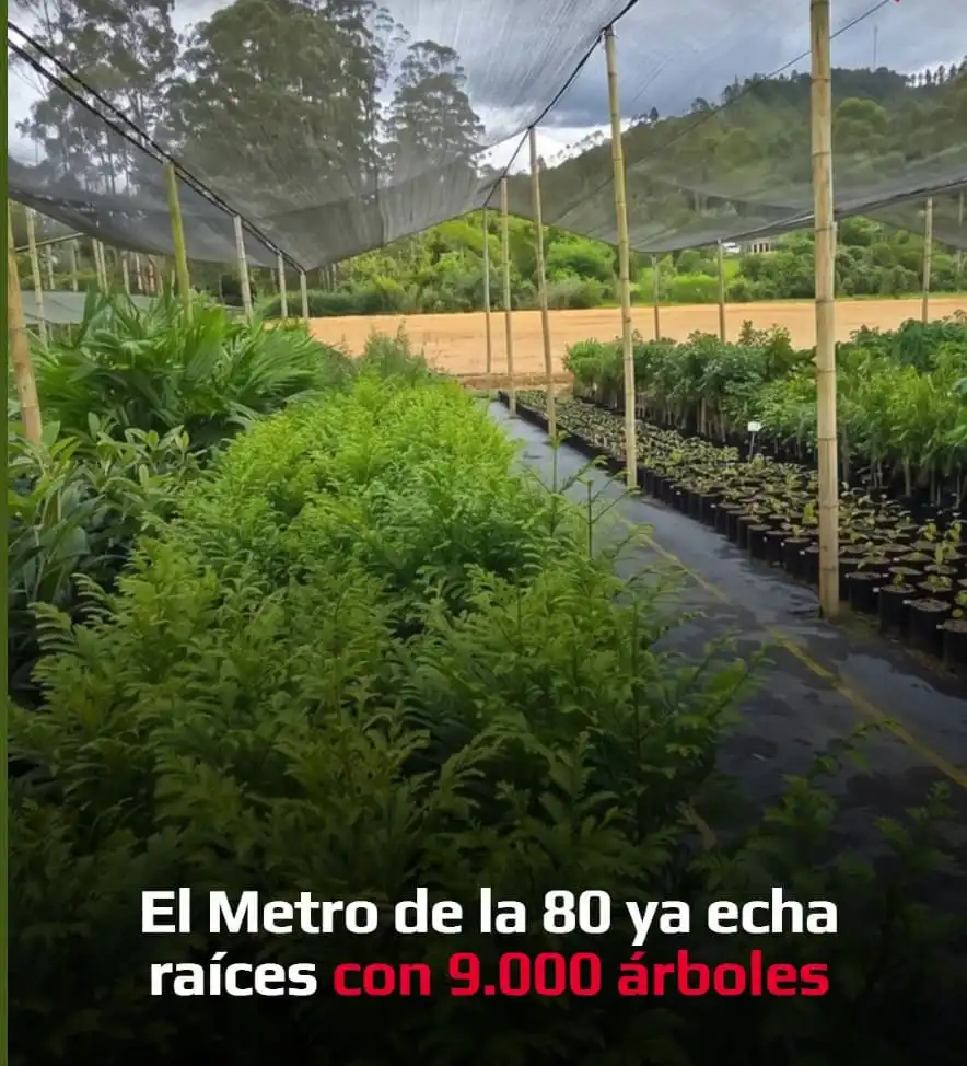 Avances ambientales en el Metro de la 80